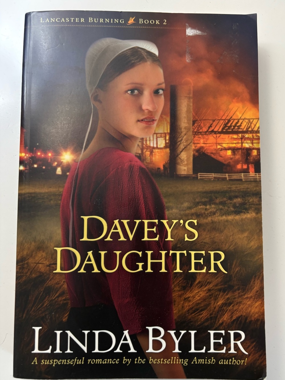 Davey’s Daughter By Linda Byler Paperback Novel Book